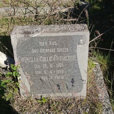 POTGIETER Cornelia 1869-1952