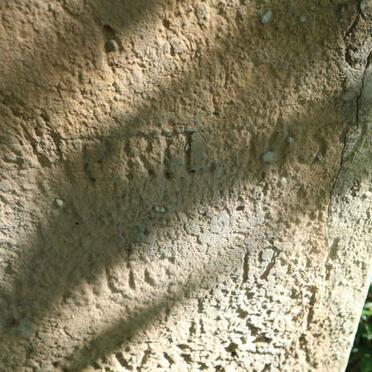 SCHEEPERS Cornelia E.P. 1859-1931