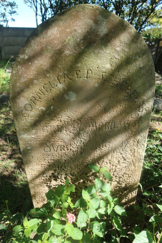 SCHEEPERS Cornelia E.P. 1859-1931