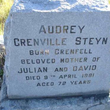 STEYN Audrey nee GRENVILLE -1981