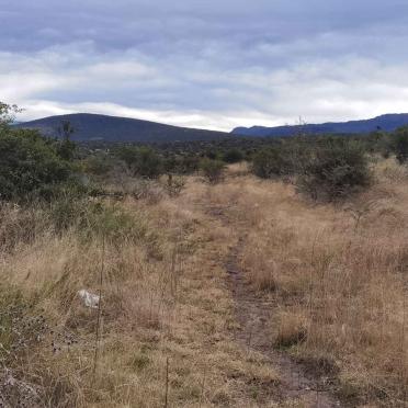 Eastern Cape, ALICE, Lovedale Mission burial ground, Gaga cemetery