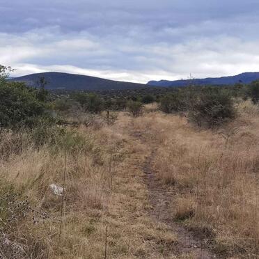 Eastern Cape, ALICE, Lovedale Mission burial ground, Gaga cemetery