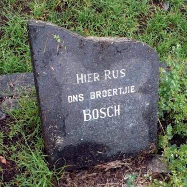 BOSCH Broertjie