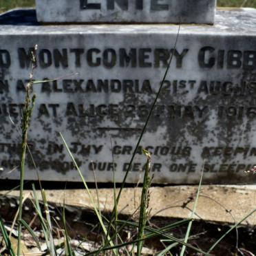 GIBBON Enid Montgomery 1892-1916