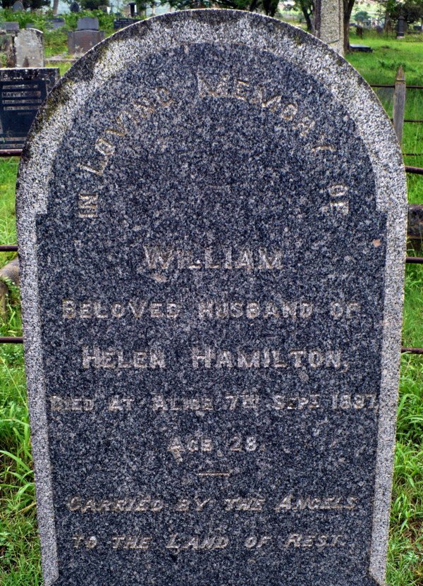 HAMILTON William -1887