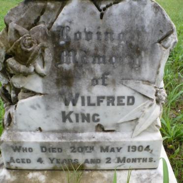 KING Wilfred -1904