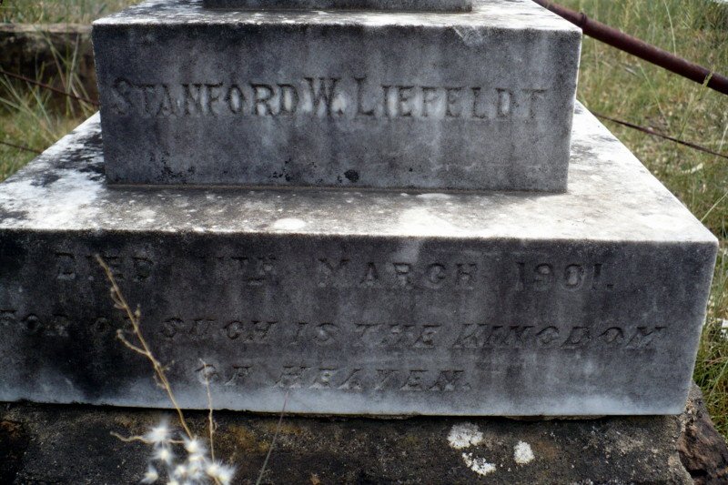 LIEFELDT Stanford W. -1901