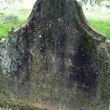 MILDENHALL Rebecca -1877
