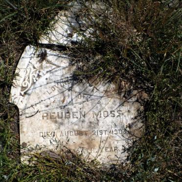 MOSS Reuben -1906