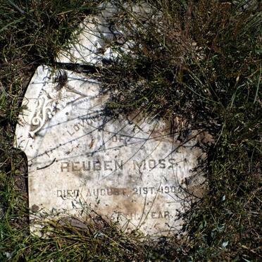 MOSS Reuben -1906