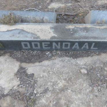 ODENDAAL Nicolaas Jacobus 1925-1926 :: ODENDAAL Gert Pieter Christiaan 1927-1927