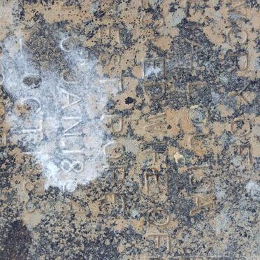 POPE Cecilia Louisa 1864-1883 :: POPE Frank Ernest Murray 1883-18??