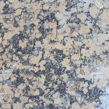 POPE Cecilia Louisa 1864-1883 :: POPE Frank Ernest Murray 1883-18??