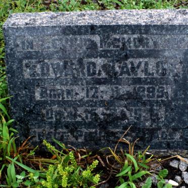 TAYLOR Edward 1899-1959