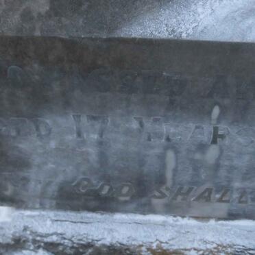 WILTSHIRE Sylvia May -1902