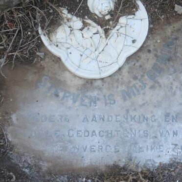 BOOYSEN Pieter Johannes