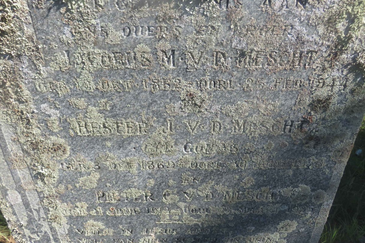 MESCHT Jacobus M., v.d. 1862-1944 &amp; Hester J. GOUWS 1869-1953 :: V.D. MESCHT Pieter C. 1913-1935