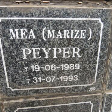 PEYPER Marize 1989-1993