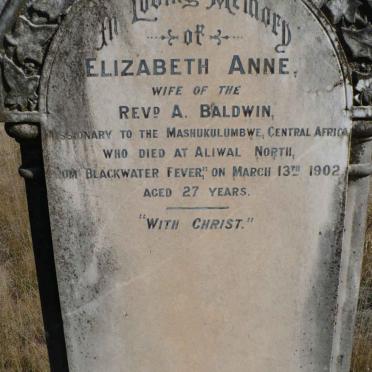 BALDWIN Elizabeth Anne -1902