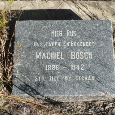 BOSCH Machiel 1886-1942