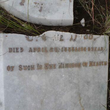 DODD Thomas John -1885 