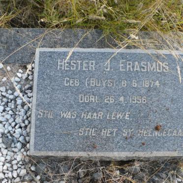 ERASMUS Hester J. nee BUYS 1874-1956