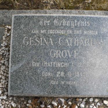 GROVE Gesina Catharina nee HATTINGH 1874-1949