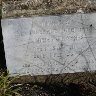 HAYNES Andries J. 1911-1937