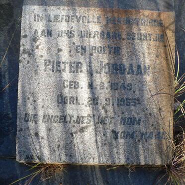 JORDAAN Pieter 1949-1955