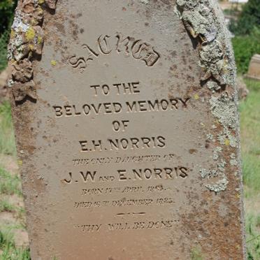 NORRIS E. H. 1883-1885