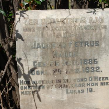 NAUDE Jacobus Petrus 1885-1932