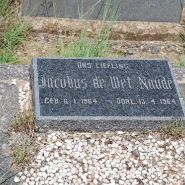 NAUDE Jacobus de Wet 1964-1964