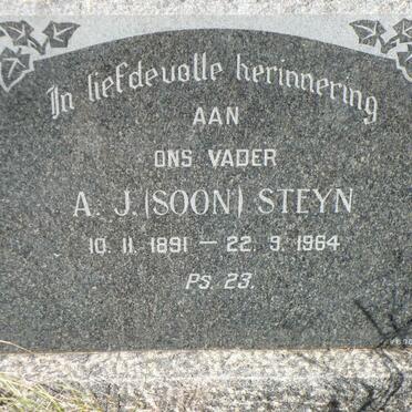 STEYN A.J. 1891-1964