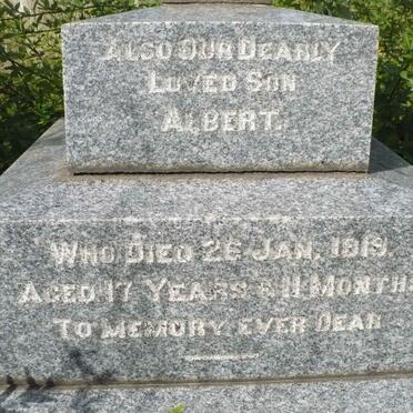 STROYAN Albert -1919