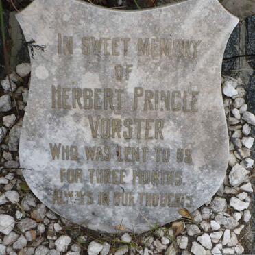 VORSTER Herbert Pringle