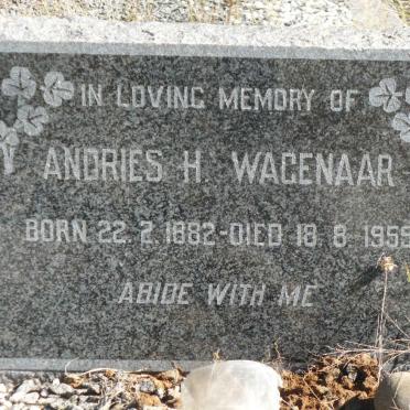 WAGENAAR Andries H. 1882-1959
