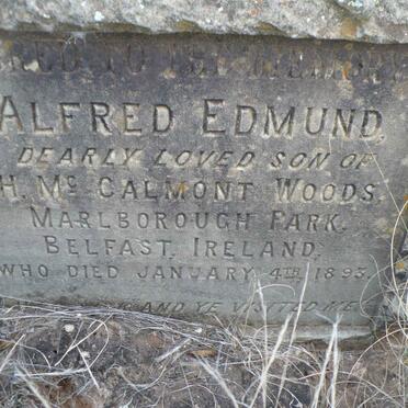 WOODS Alfred Edmund -1893