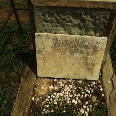 MURRAY David 1868-1945