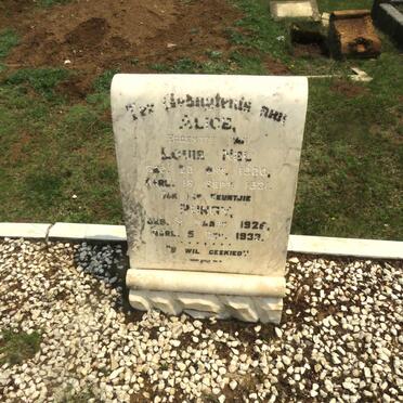 NEL Alice 1900-1931 :: NEL Pungy 1926-1933