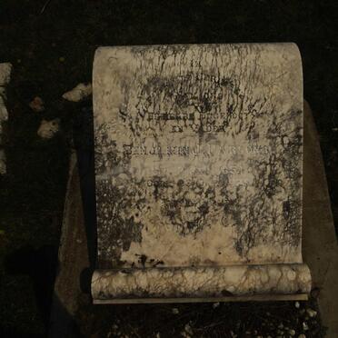 PARSONS Benjamin J.P. 1854-1929