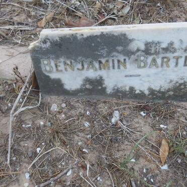 BARTLETT Benjamin 1834-1898