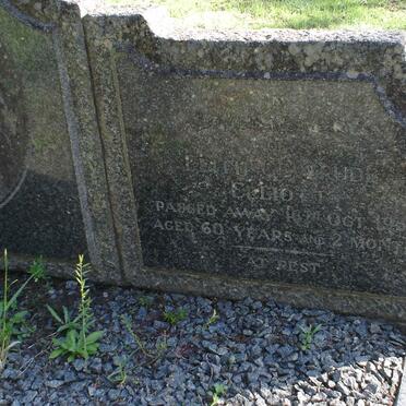 ELLIOTT Edith Gertrude -1952