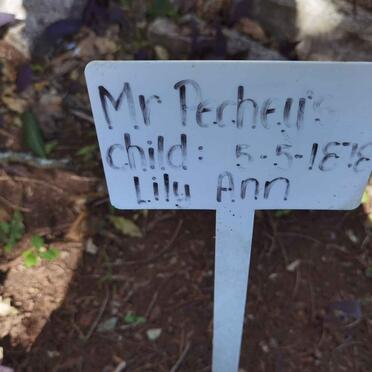 PECHEU Lily Ann -1878