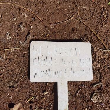 WESSON Arthur Edward -1881