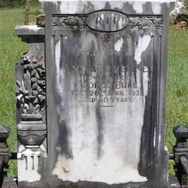 BULL Lydia Eveline -1931