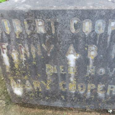 COOPER Robert -1871 :: HODGKINSON Fanny A.B. nee COOPER -1903 :: COOPER Mary -1907