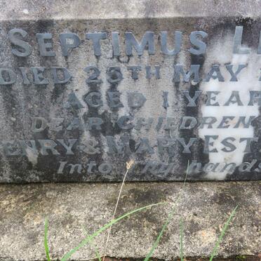 ESTMENT Henry James -1864 :: ESTMENT Amy Rebecca -1874 :: ESTMENT Septimus Levi -1876