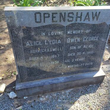 O - Surnames :: Vanne - O