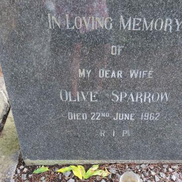 SPARROW Olive -1962
