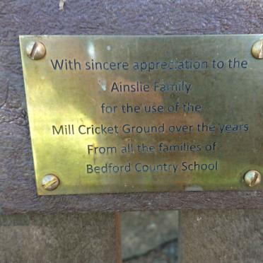 6. Plaque